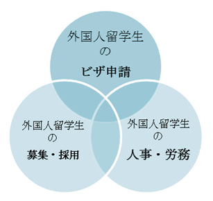 Compliance Risks and Penalties